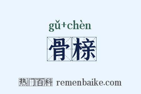骨榇是什么意思的图片